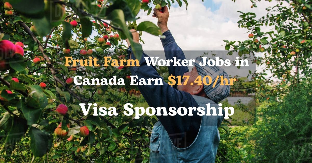 Fruit Farm Worker Jobs in Canada with Visa Sponsorship 2025 – Earn $17.40/hr