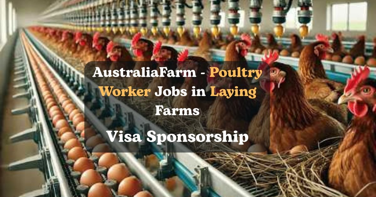 AustraliaFarm - Poultry Worker Jobs in Laying Farms: VISA Sponsorship 2025