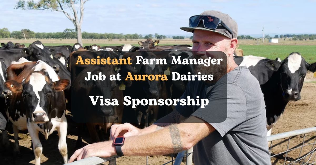 Assistant Farm Manager Job at Aurora Dairies – Visa Sponsorship & Career Growth (2025)