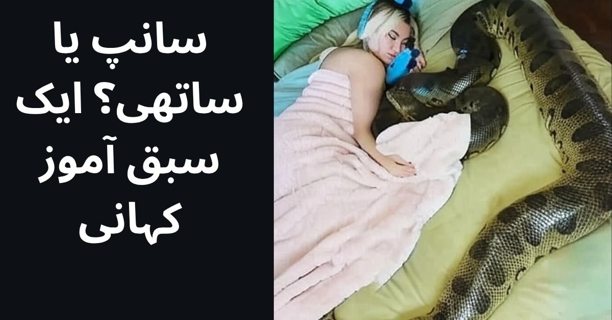 سانپ یا ساتھی؟ ایک سبق آموز کہانی
