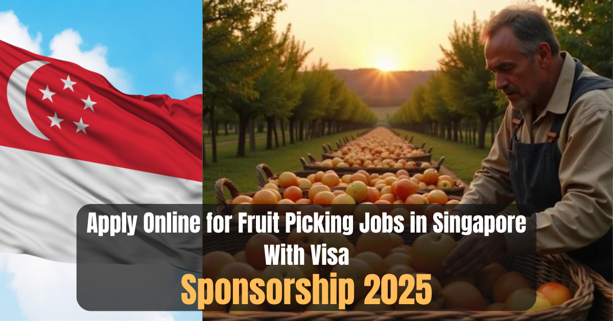 Apply Online for Fruit Picking Jobs in Singapore With Visa Sponsorship 2025
