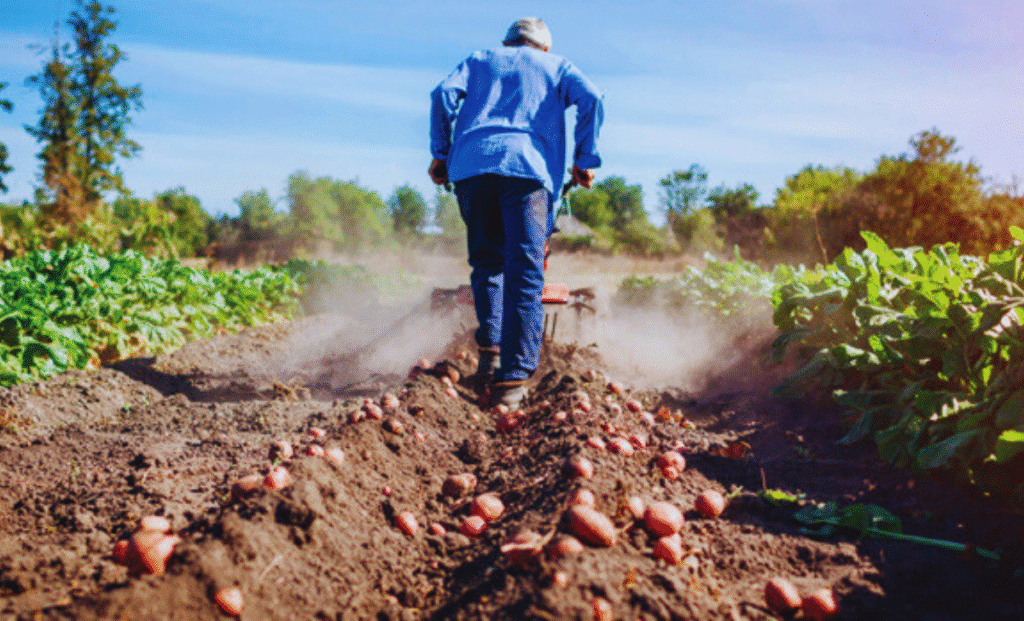 Agriculture Jobs in USA with Visa Sponsorship 2025