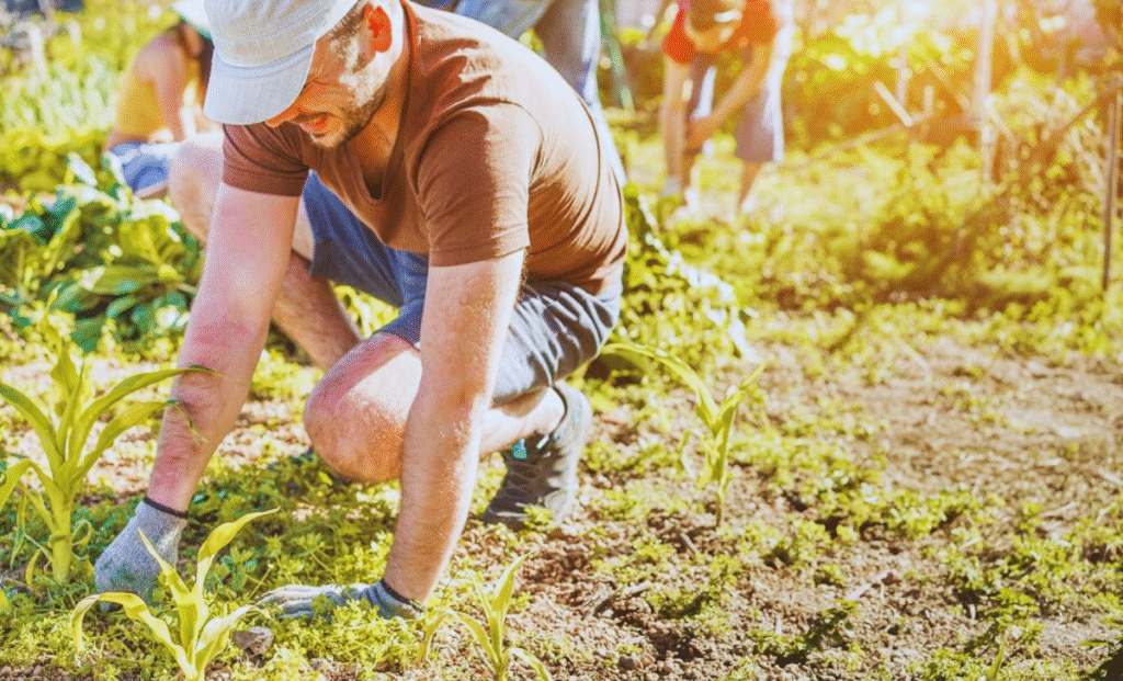 Agriculture Jobs in USA with Visa Sponsorship 2025