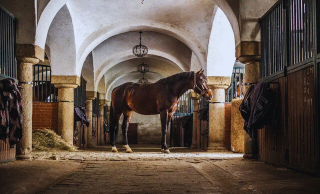 Horse Farm Jobs in Turkey with Visa Sponsorship 2025