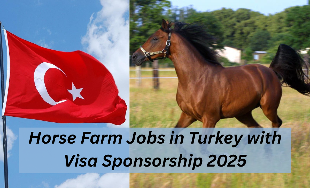Horse Farm Jobs in Turkey with Visa Sponsorship 2025