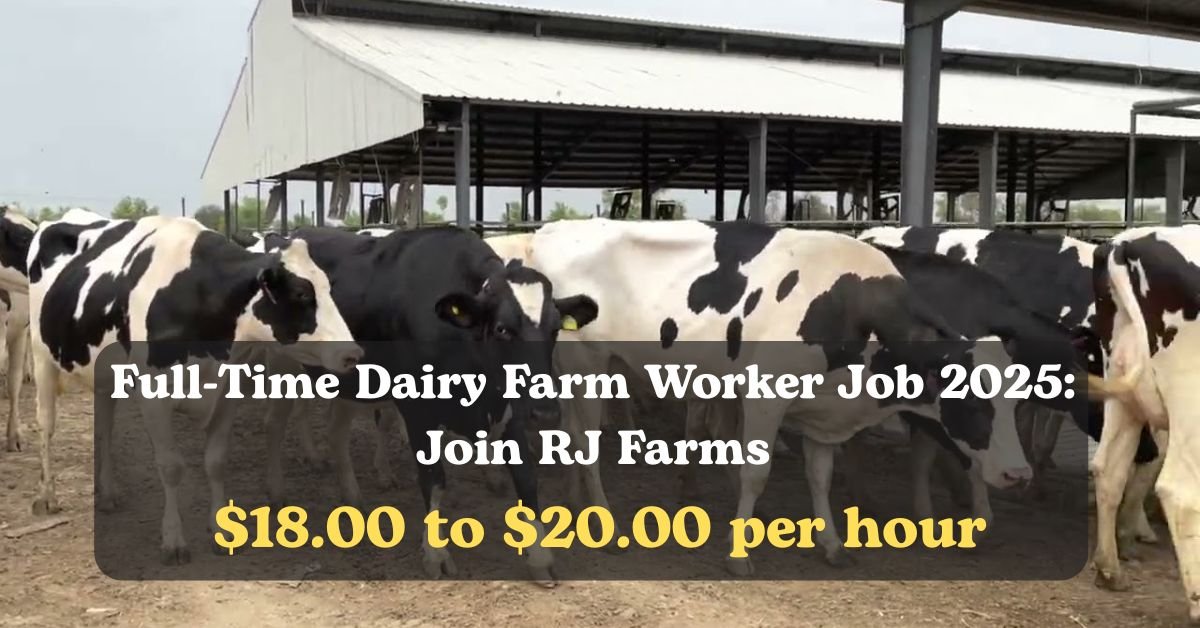 Full-Time Dairy Farm Worker Job 2025: Join RJ Farms