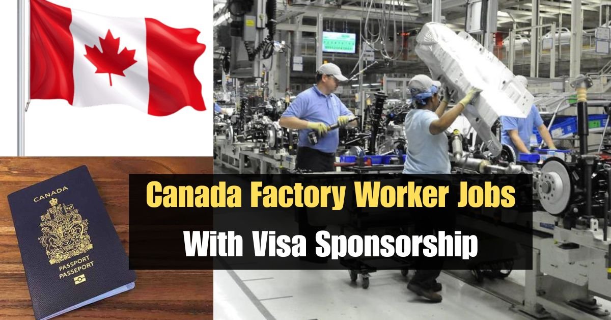 Visa Sponsorship factory worker Canada Jobs 2025