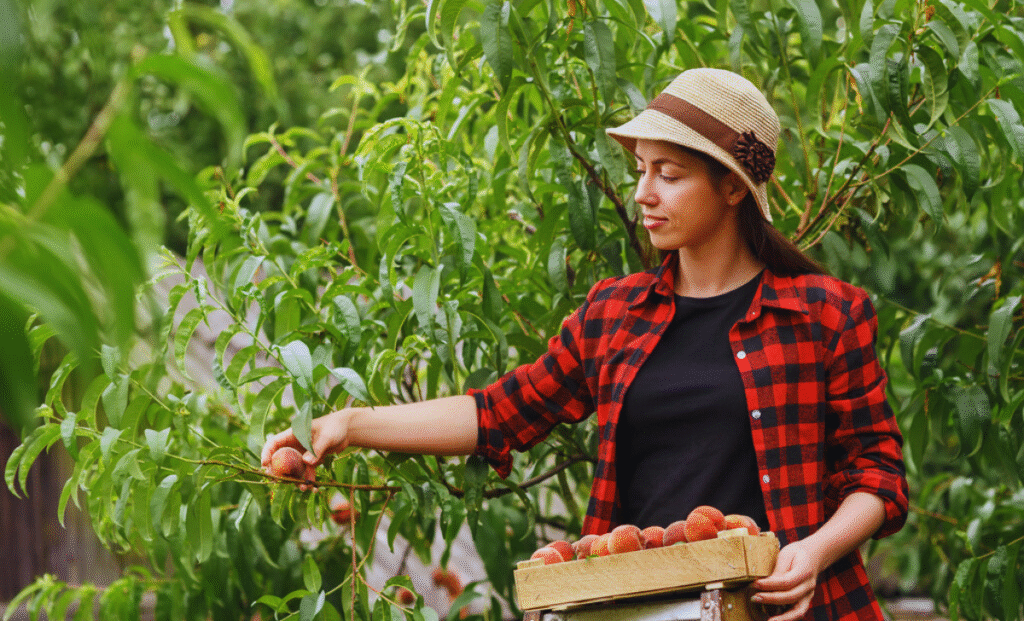 Fruit Picking Jobs in Los Angeles with Visa Sponsorship 2025