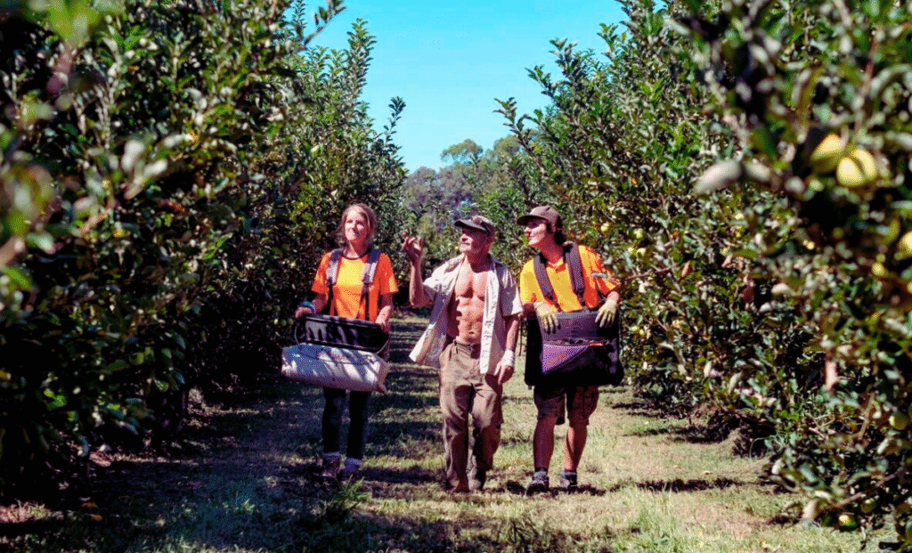 Fruit Picking Jobs in Los Angeles with Visa Sponsorship 2025