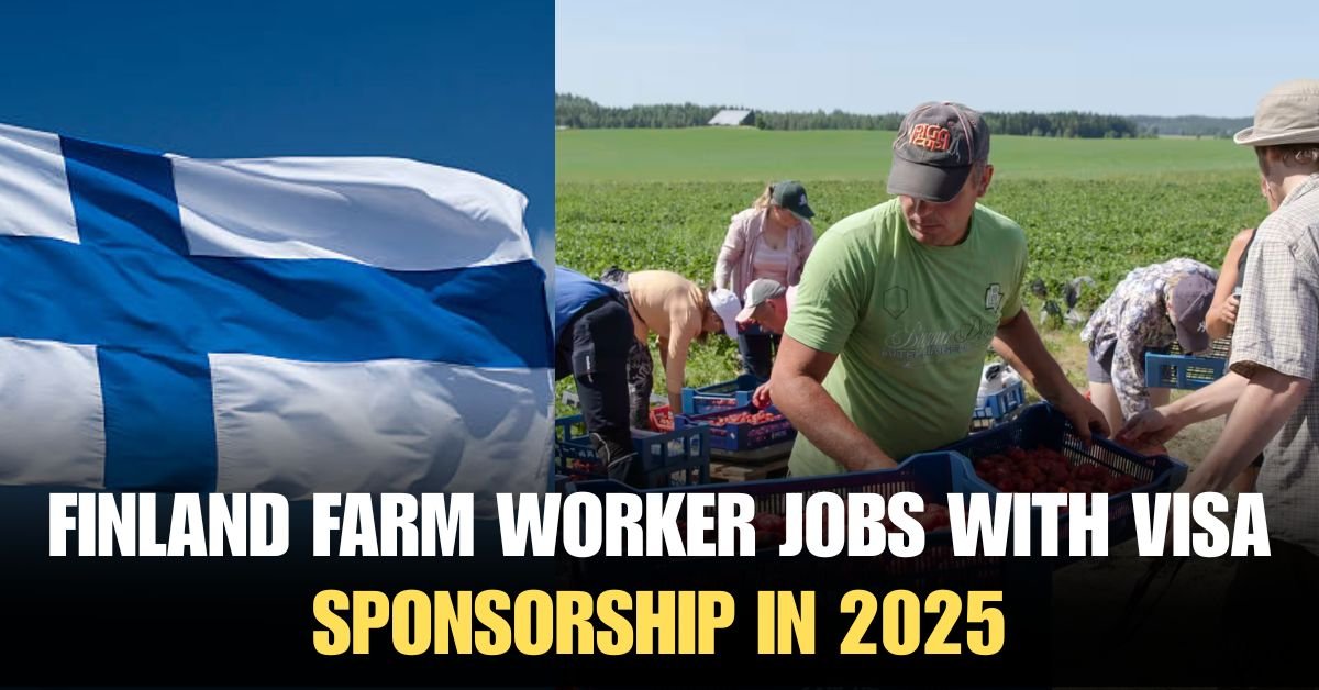 Farm Worker Jobs In Finland With Visa Sponsorship 2025