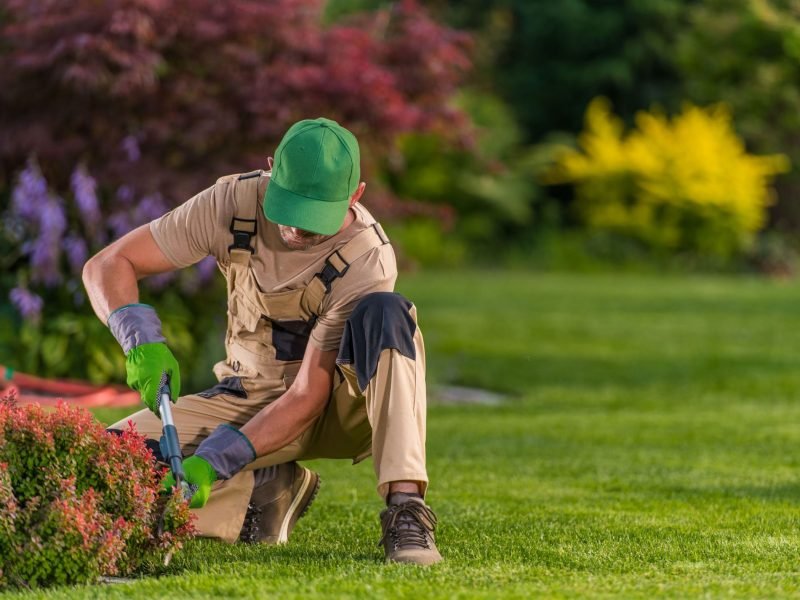 UK Gardener Jobs With Visa Sponsorship In 2025