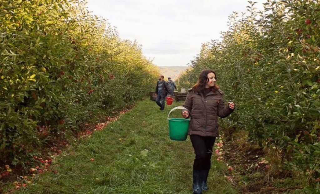 Fruit Picking Jobs in Malta with Visa Sponsorship 2025