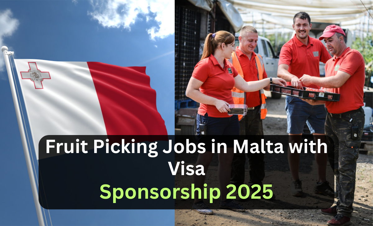 Fruit Picking Jobs in Malta with Visa Sponsorship 2025