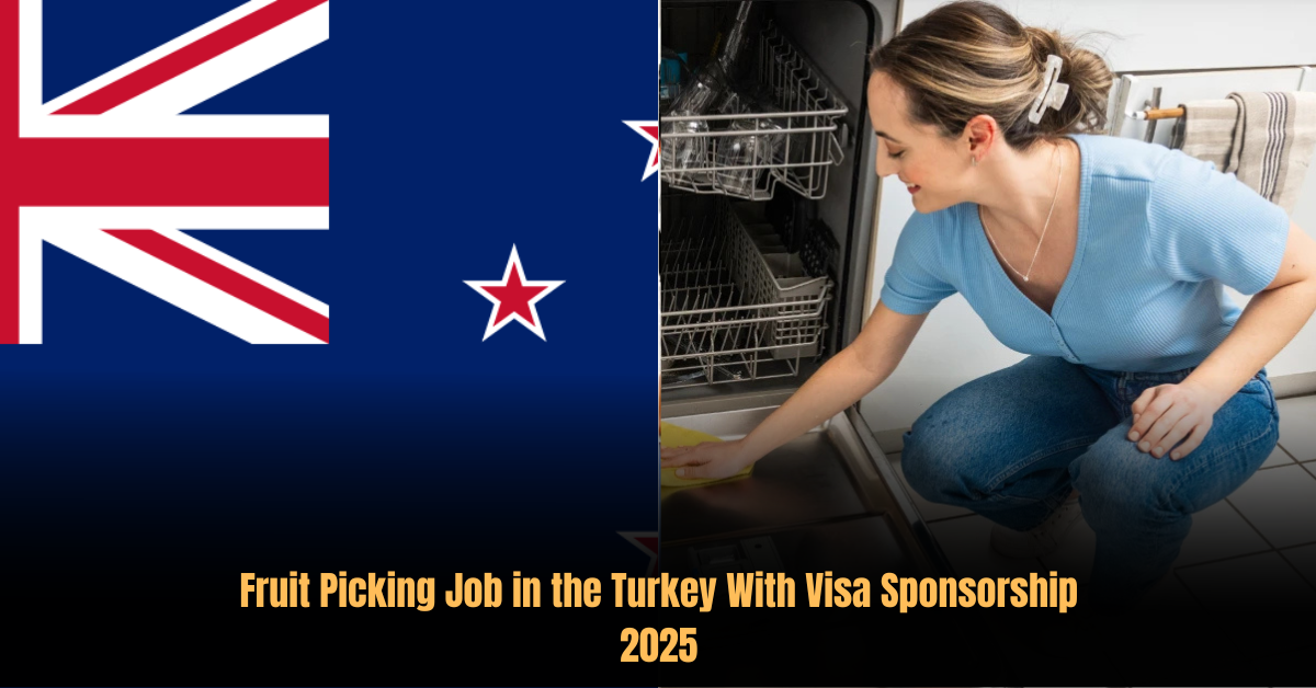 Dishwasher Job in New Zealand With Visa Sponsorship 2025