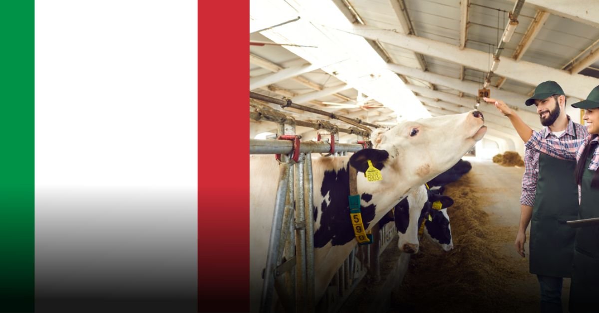 work opportunities in Italy for unskilled workers