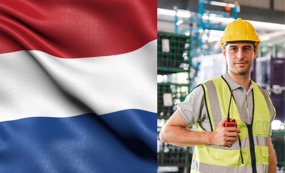 Work Opportunities in Netherlands