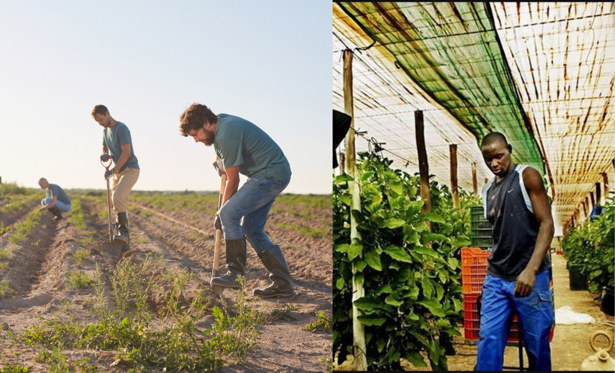 The Future of Unskilled Jobs for Foreign Workers