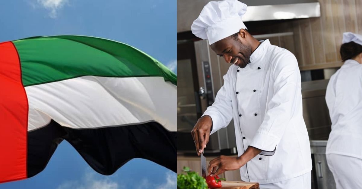 How to Apply for Hospitality Jobs in Dubai