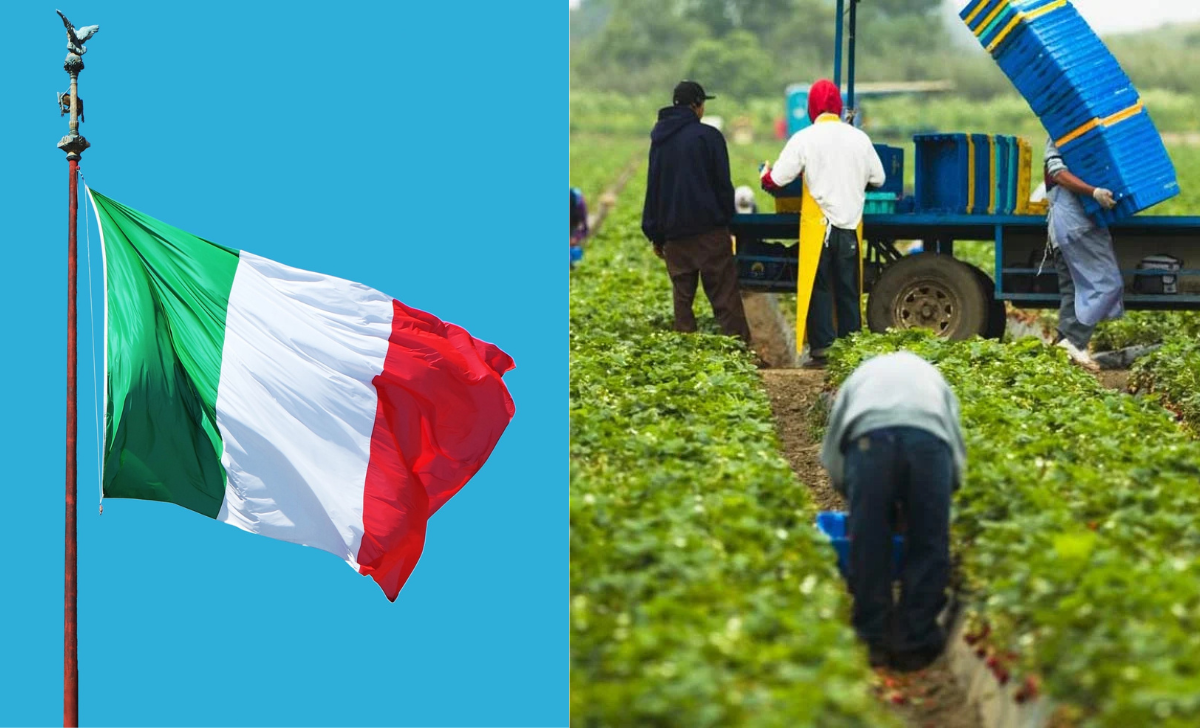 Italy Farm & Factory Jobs – Legal Work Permit Process
