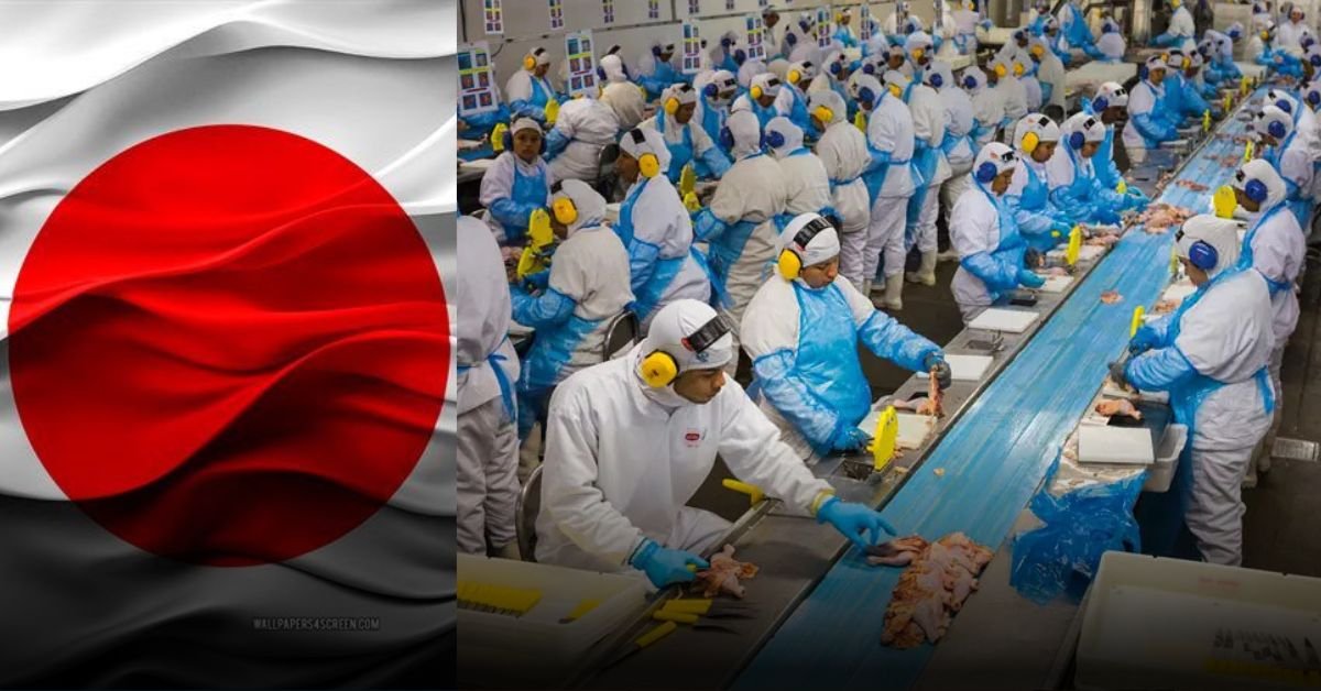 Japan Food Factory Jobs with Visa Sponsorship 2025