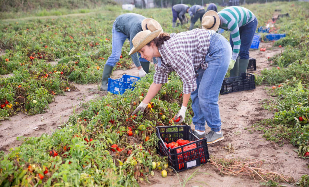 Finland Seasonal Worker Visa