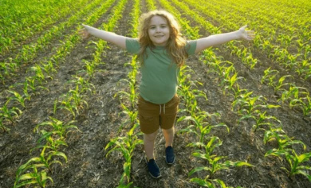 Netherlands Farm Helper Jobs