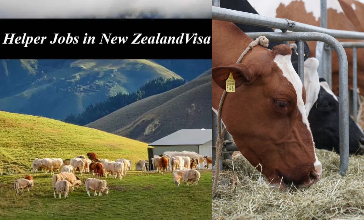 Netherlands Farm Helper Jobs